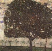 Gustav Klimt Apple Tree II (mk20) oil painting reproduction
